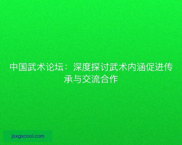 中国武术论坛：深度探讨武术内涵促进传承与交流合作